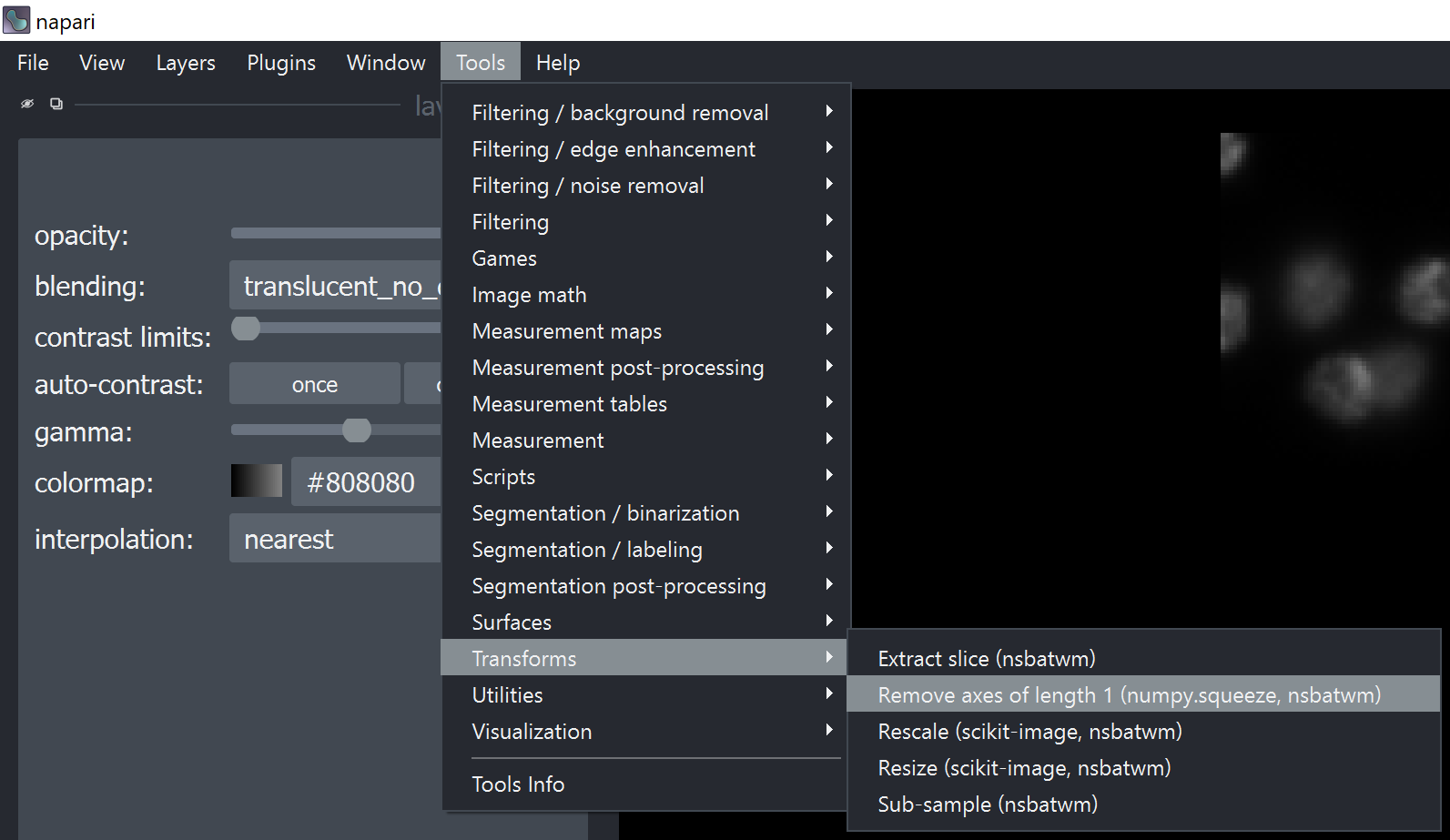 Remove axes of length 1