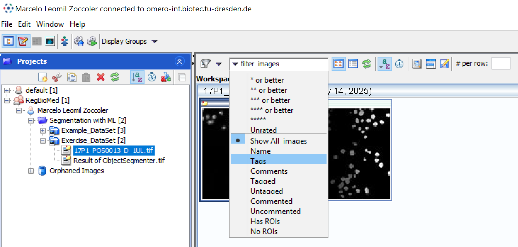 Annotate images in OMERO