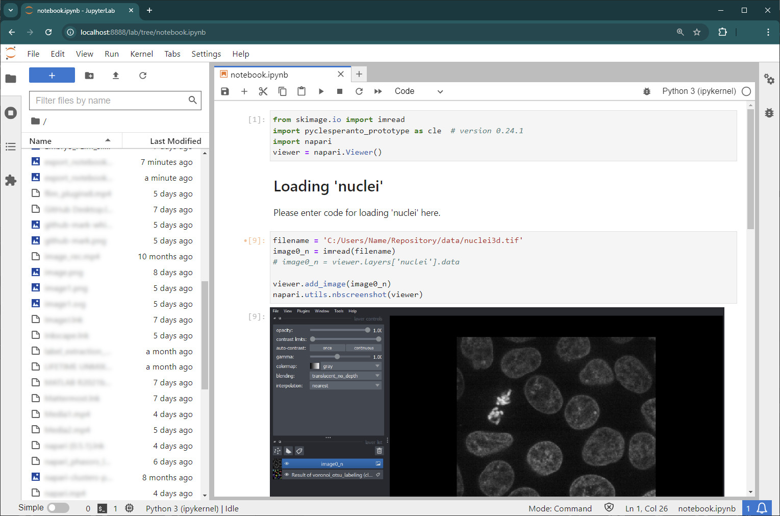 Generating Jupyter Notebooks from the Napari Assistant — DIGS-BB ...