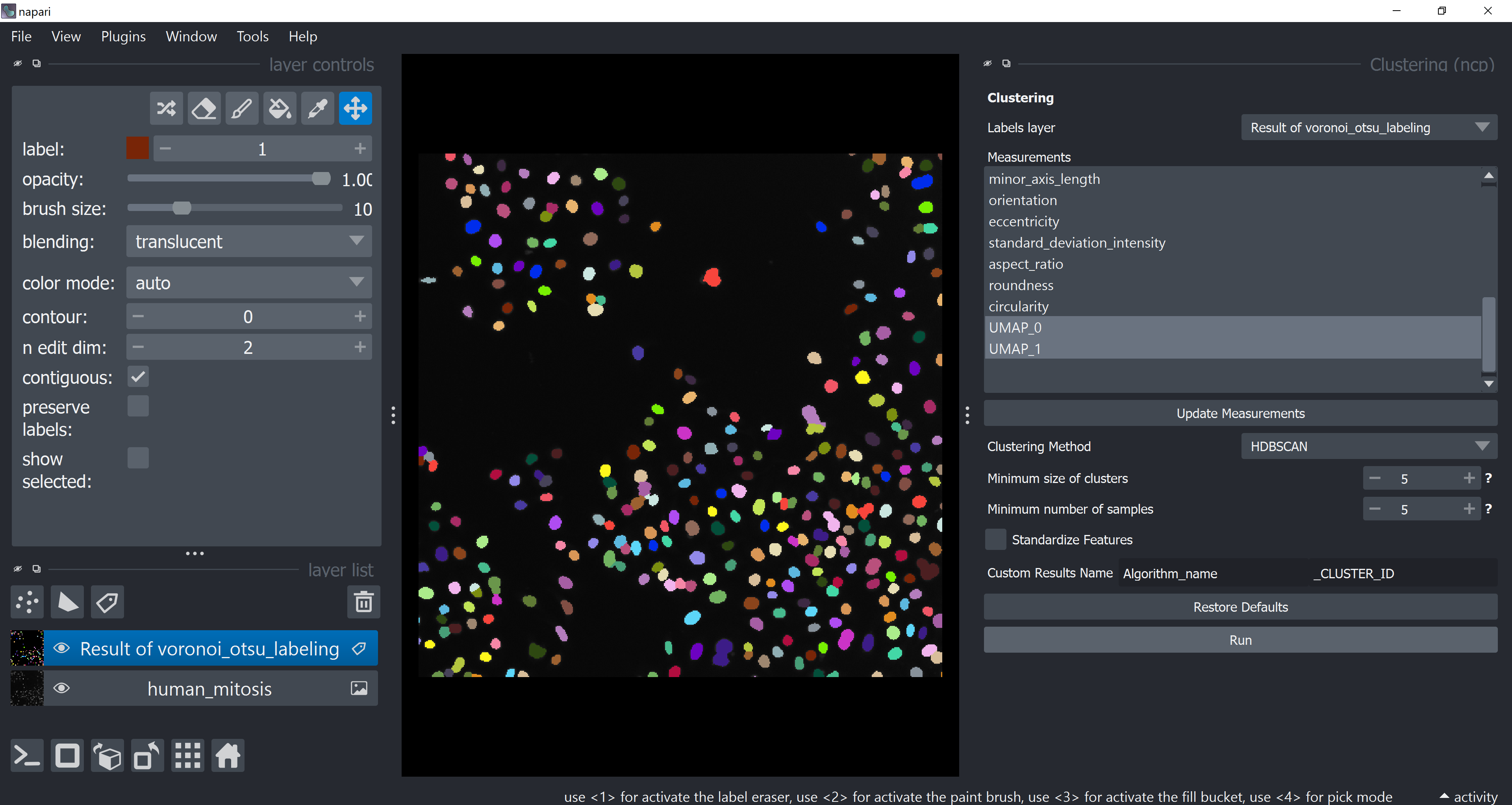 Interactive unsupervised object classification in Napari — DIGS-BB ...