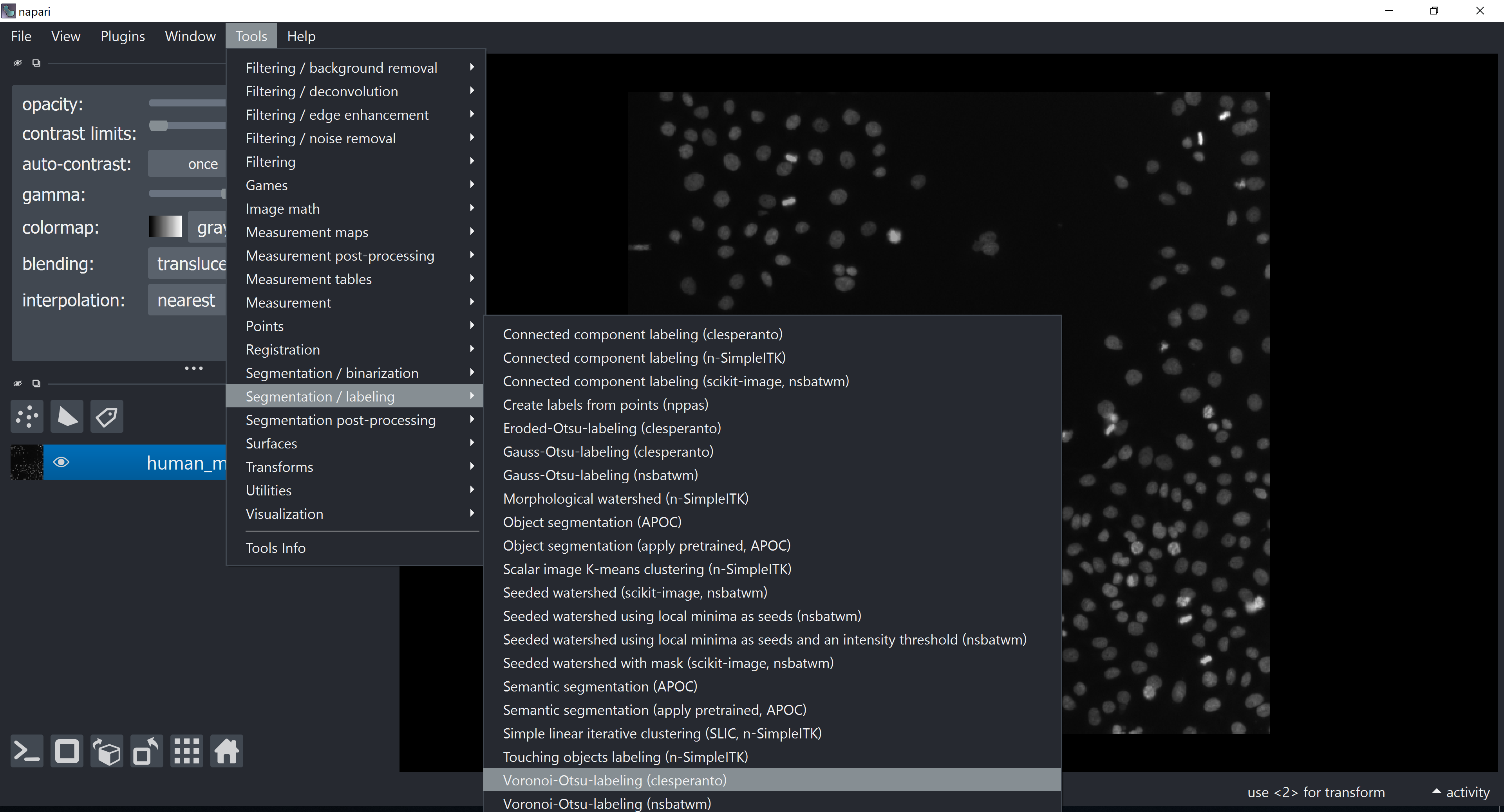 Interactive unsupervised object classification in Napari — DIGS-BB ...