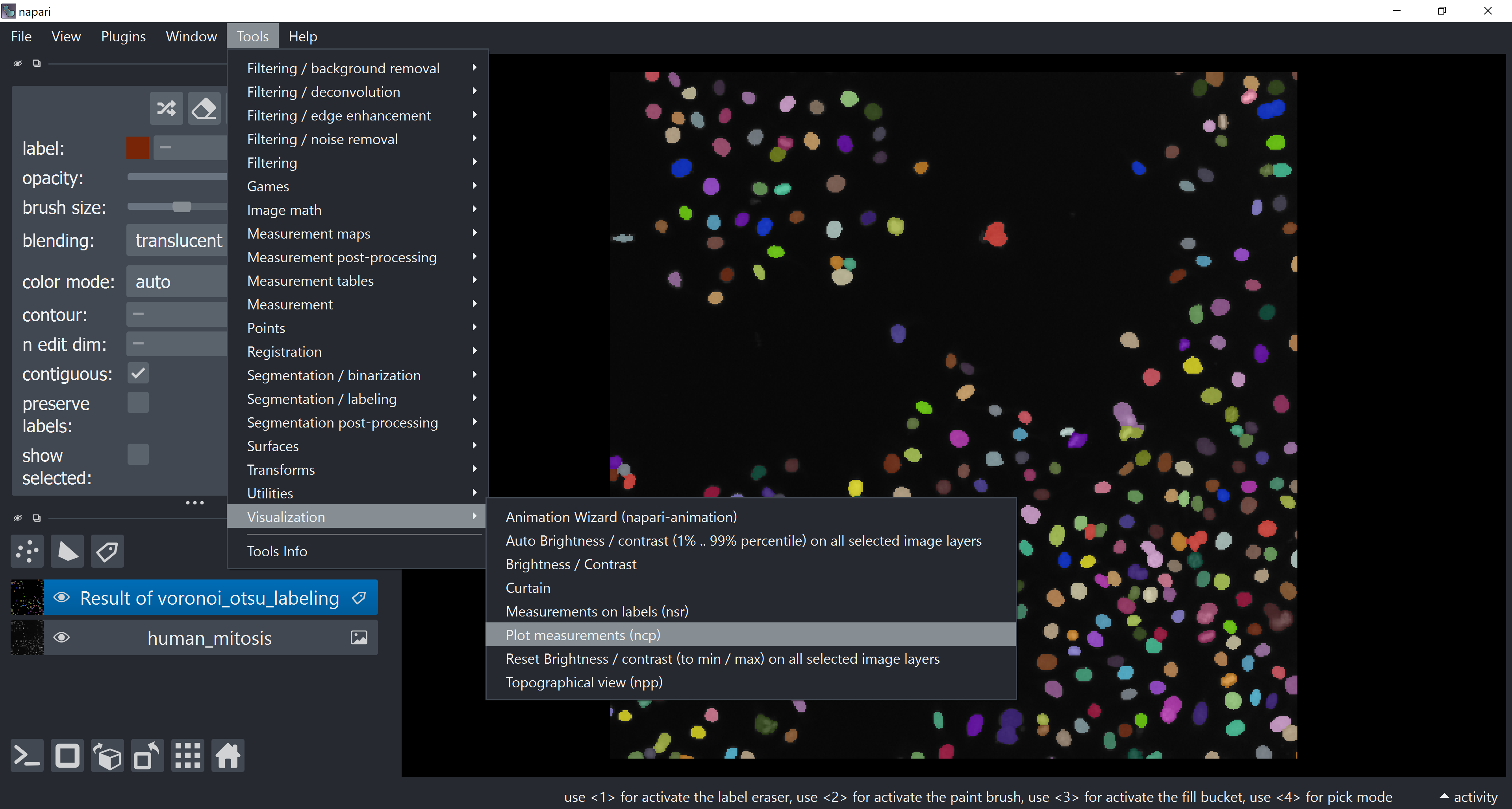 Interactive unsupervised object classification in Napari — DIGS-BB ...