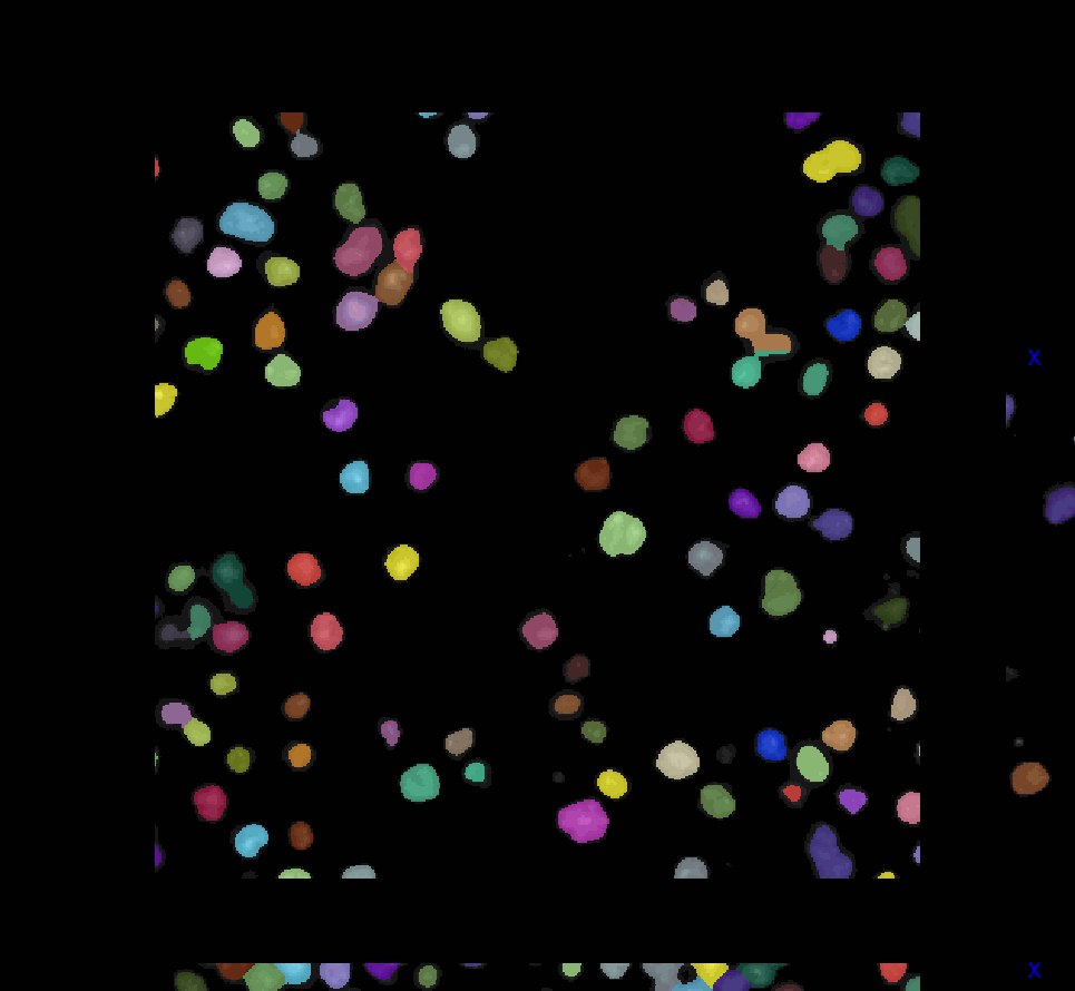 BBBC1 dataset overview