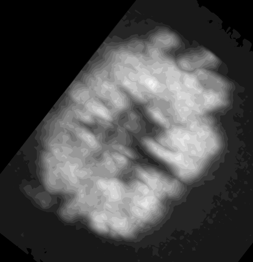 Cells3d dataset overview