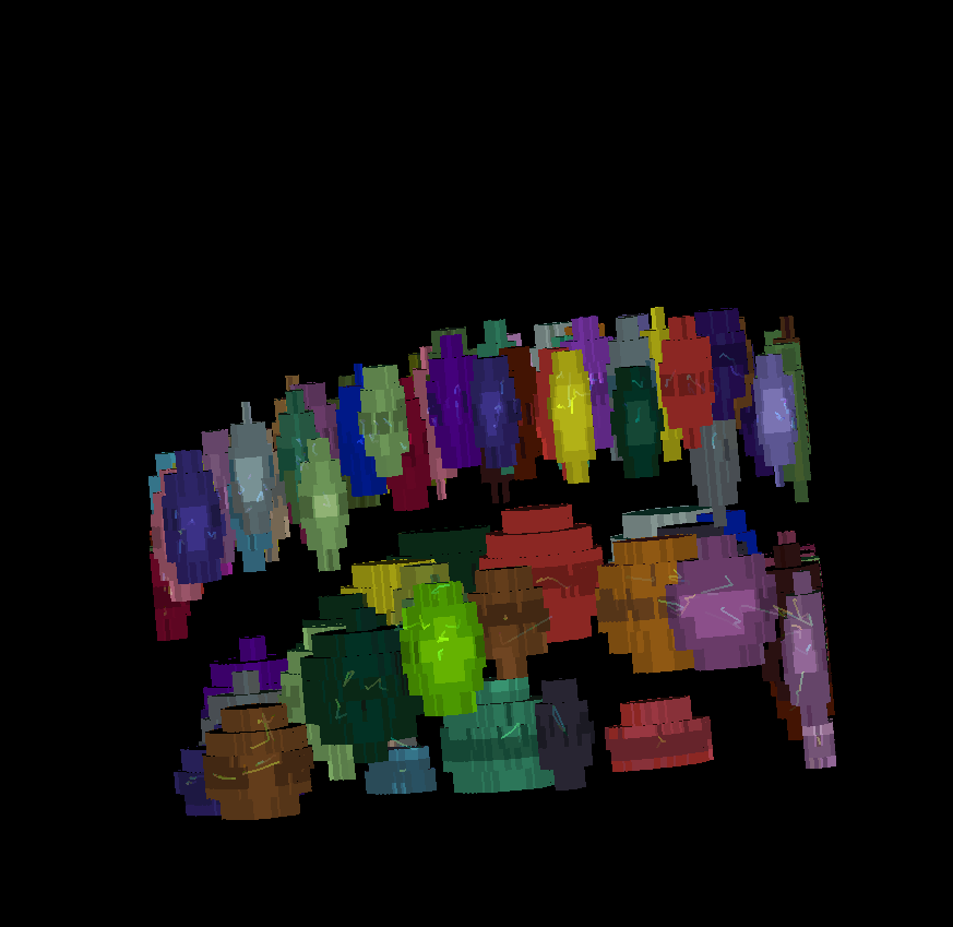 TGMM mini dataset overview